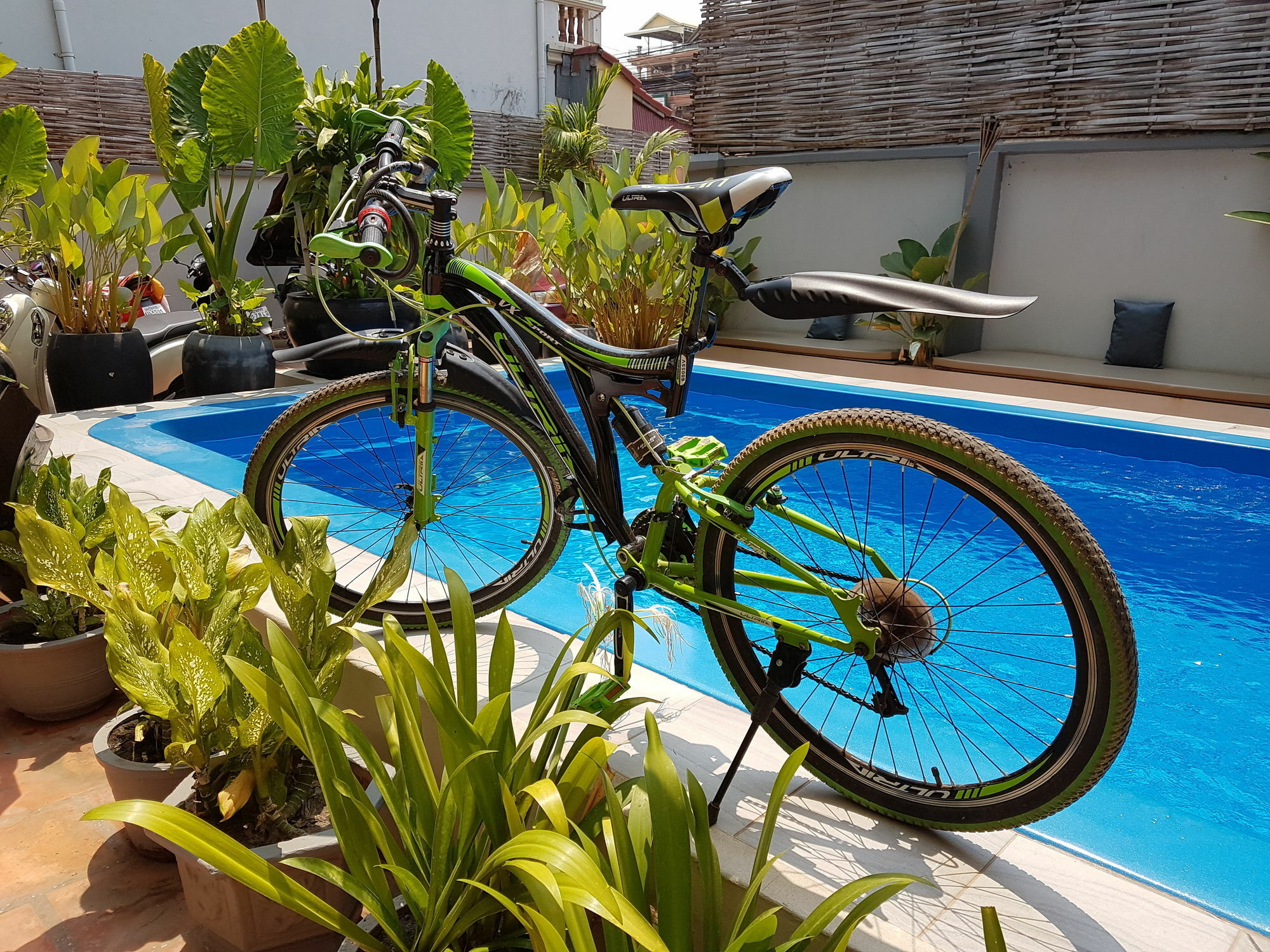 Lemongrass & Ginger Hotel Siem Reap Exterior foto